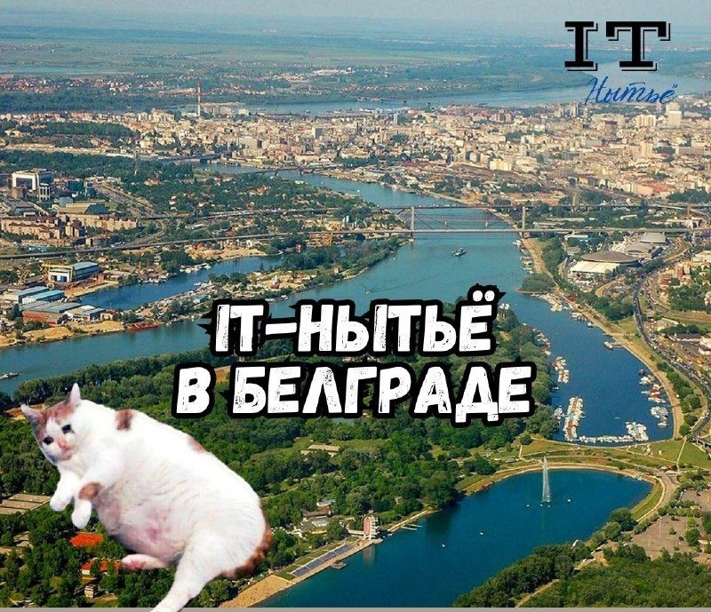IT-Нытьё